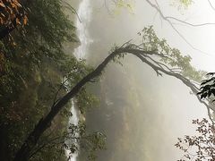 -明月山天沐温泉度假村