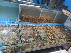 水产区-渔人湾码头海鲜市场负二楼