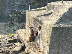 -水绘园