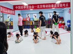 -嗨动跆拳道体能馆(菜百店)