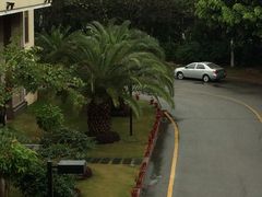 -厦门悦华酒店