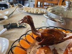 -百利鸽王(紫薇路店)