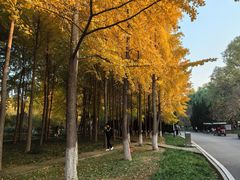 -石家庄市植物园