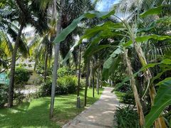 -三亚亚龙湾天域度假酒店