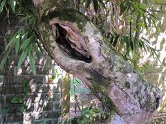 -白云山索道-售票处