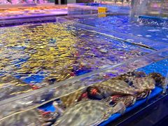 -十二海鲜(南湖店)