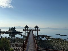 -养马岛旅游度假区