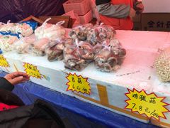 -秀丽东方