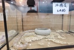 -Moni星球萌宠·小马宝莉·灵蛇·高端高阶全萌宠互动体验俱乐部(红豆国际广场店)