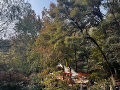 -岳麓山风景名胜区