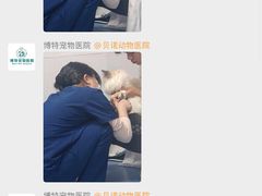 -博特宠物医院24h犬猫全科.骨科·异宠