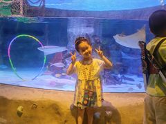 -沈阳海洋探索中心