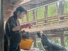 -长鹿旅游休博园