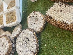 -大观篆新农贸市场