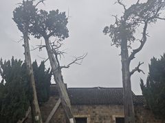 -江南第一家