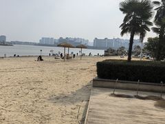 -九龙湖公园