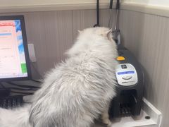 -佑安动物医院·全科·内窥镜中心(幸福巷店)