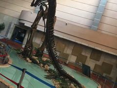 -诸城市恐龙博物馆
