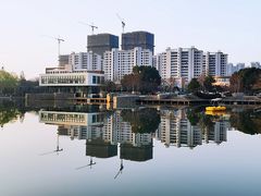 -青枫公园