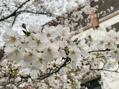 -同里湖度假村(二期店)