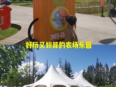 -前小桔亲子创意农场·草莓采摘·露营烧烤