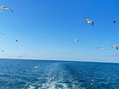 -海驴岛(荣成市)