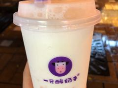 -一只酸奶牛(八一路店)