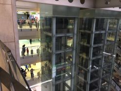 -首都医科大学附属北京儿童医院