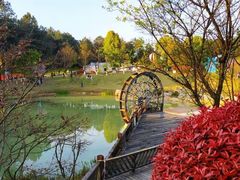 -铁山坪森林公园