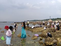 -养马岛旅游度假区
