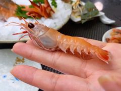 -菊上料理(蜀山银泰百货店)