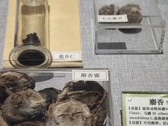 -北京中医药大学-中医药博物馆