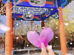 -丰台花园
