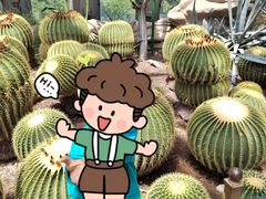 -北京植物园-展览温室