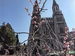 -洪家楼教堂