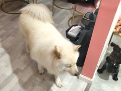 -肆兮眼镜·蔡司·徕卡战略合作店(大坪店)