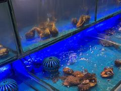 -SEA西雅图海鲜自助餐厅(海乐世界店)