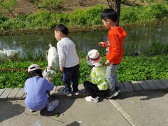 -前小桔亲子创意农场·草莓采摘·露营烧烤