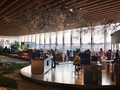 -Seesaw Coffee(朝阳大悦城店)