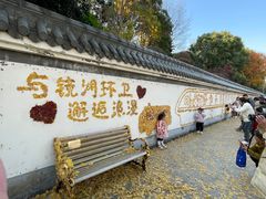 -赭山公园