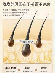 -Bollins波林丝•专研护发中心