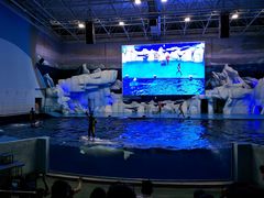 -福州罗源湾海洋世界旅游区