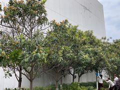 -沐槿宫韩式汗蒸水汇(马群店)