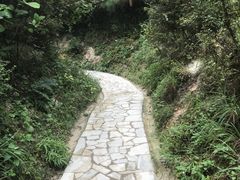 -彩色沙林风景区