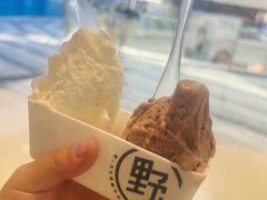 -野人牧坊Gelato(天津南开大悦城店)