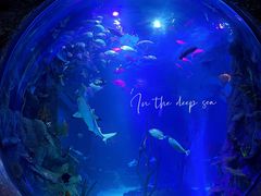 -沈阳海洋探索中心