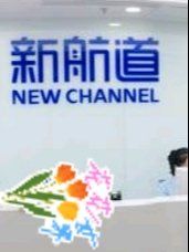 -新航道雅思托福·留学·考研培训(人民广场校区)