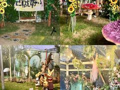 -正佳雨林生态植物园