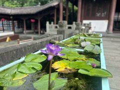 -钱王祠