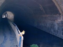 -白水寺森林公园